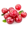 GMO Free Cranberry