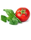 Garden Tomato Basil