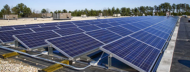 carolina-ingredients-solar-panels