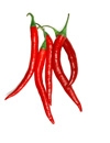 Hot & Spicy