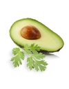 Avocado Cilantro