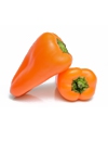 Aji Amarillo