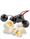 Elderberry_Popcorn