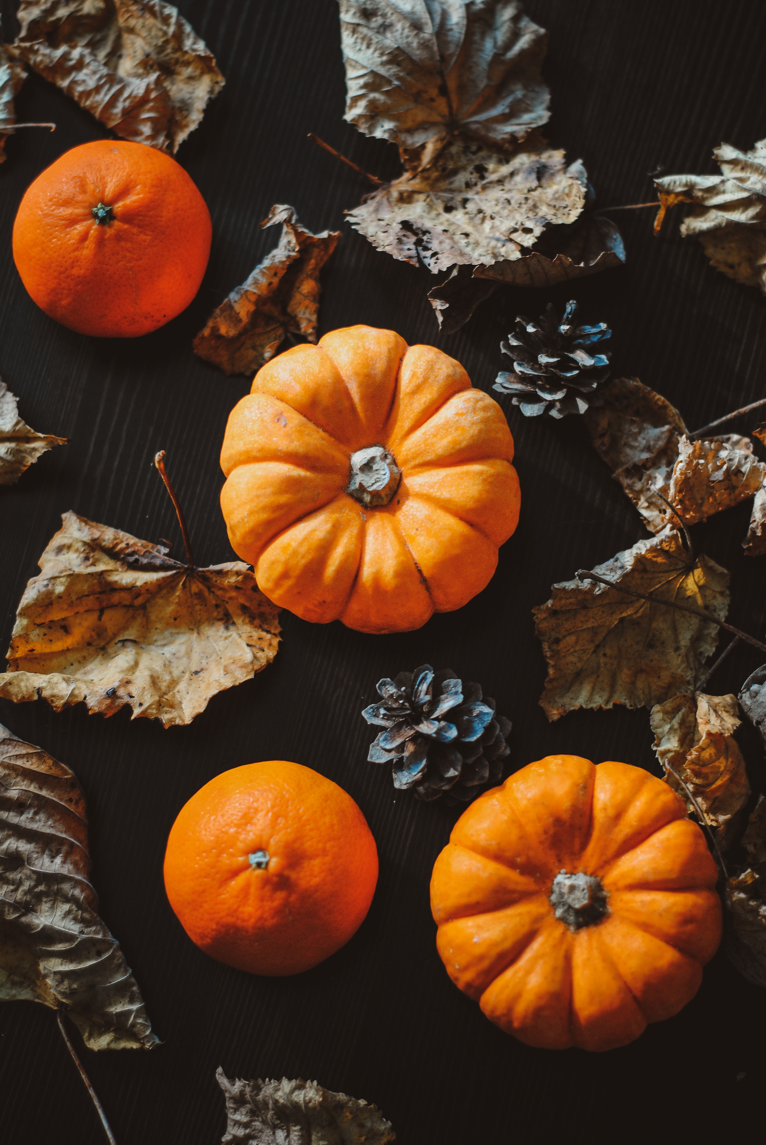 custom pumpkin spice seasoning blends