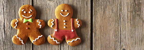 gingerbread man partnership blog resized 600